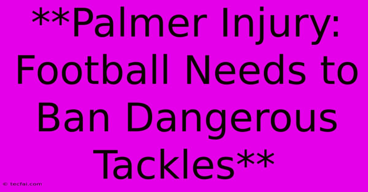 **Palmer Injury: Football Needs To Ban Dangerous Tackles**