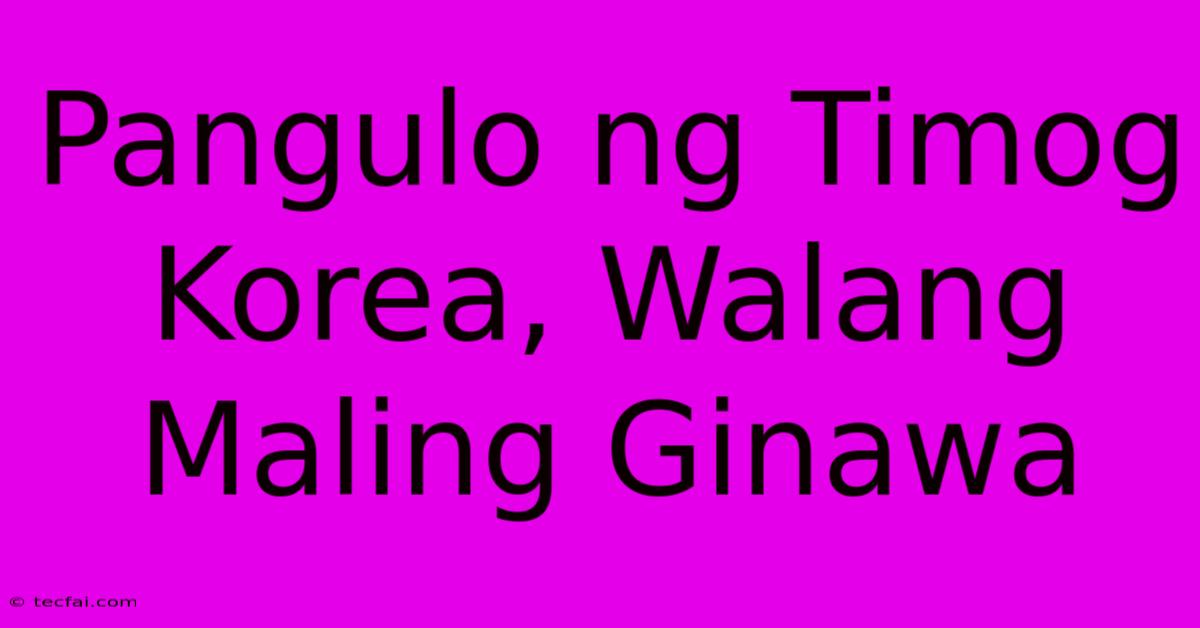 Pangulo Ng Timog Korea, Walang Maling Ginawa 