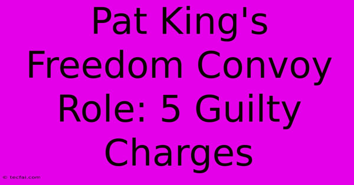 Pat King's Freedom Convoy Role: 5 Guilty Charges