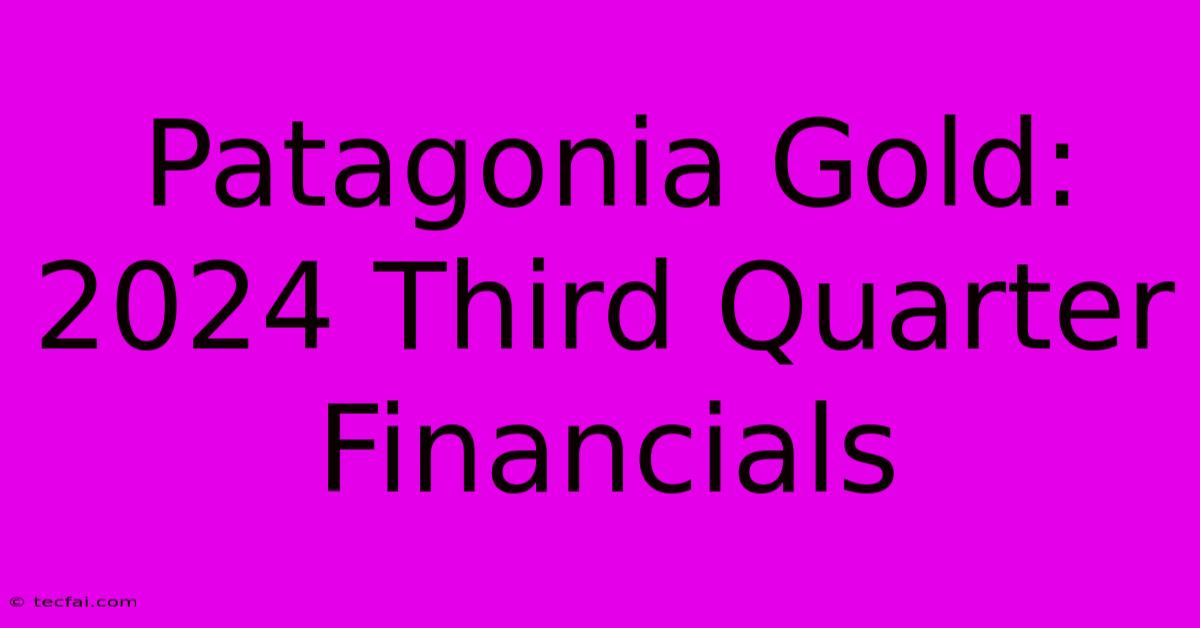 Patagonia Gold: 2024 Third Quarter Financials