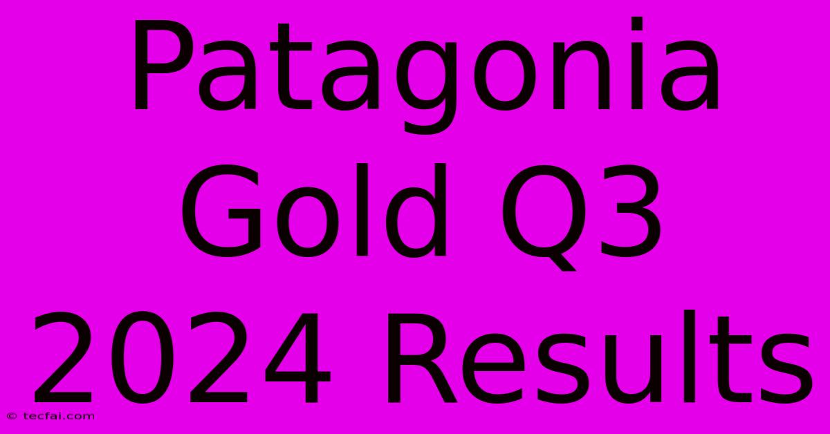 Patagonia Gold Q3 2024 Results