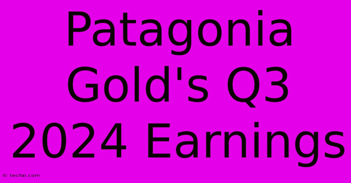 Patagonia Gold's Q3 2024 Earnings