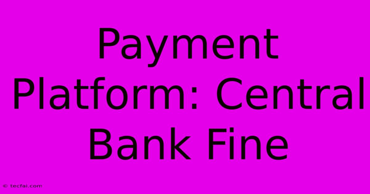 Payment Platform: Central Bank Fine