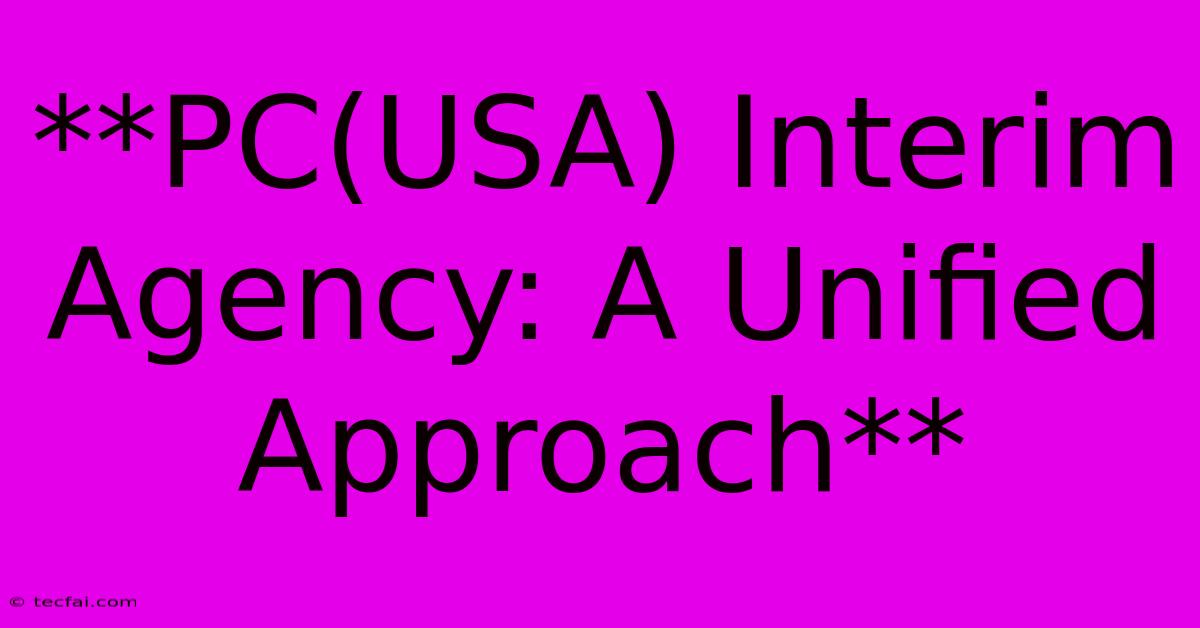 **PC(USA) Interim Agency: A Unified Approach** 