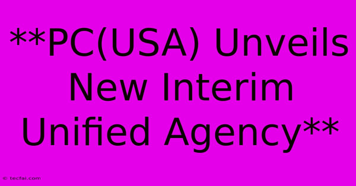 **PC(USA) Unveils New Interim Unified Agency**