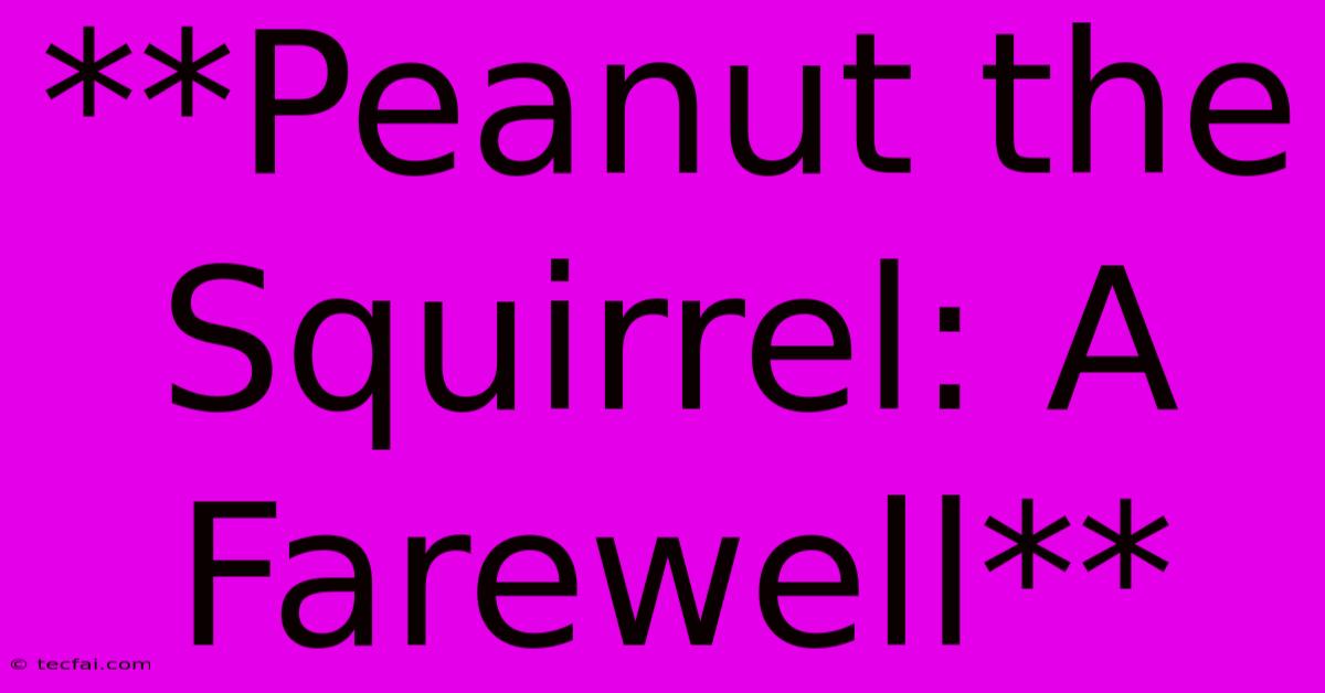 **Peanut The Squirrel: A Farewell**