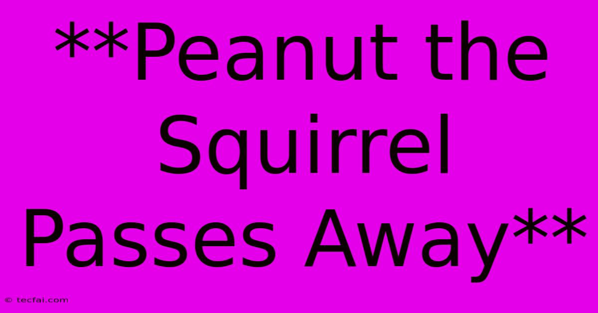 **Peanut The Squirrel Passes Away**