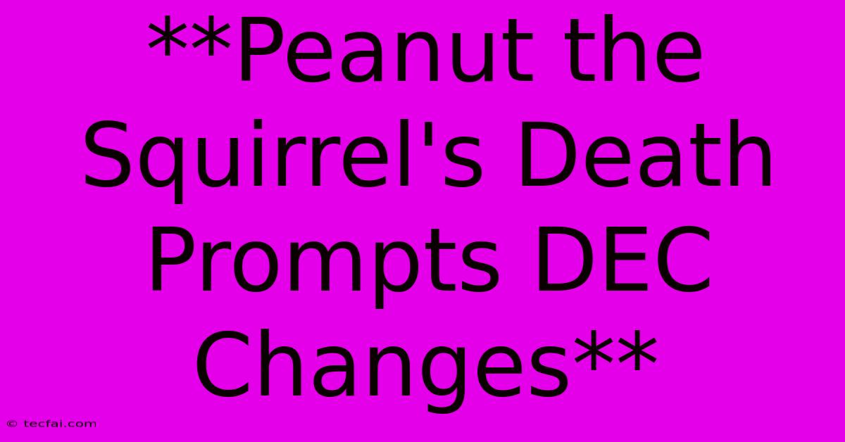 **Peanut The Squirrel's Death Prompts DEC Changes**