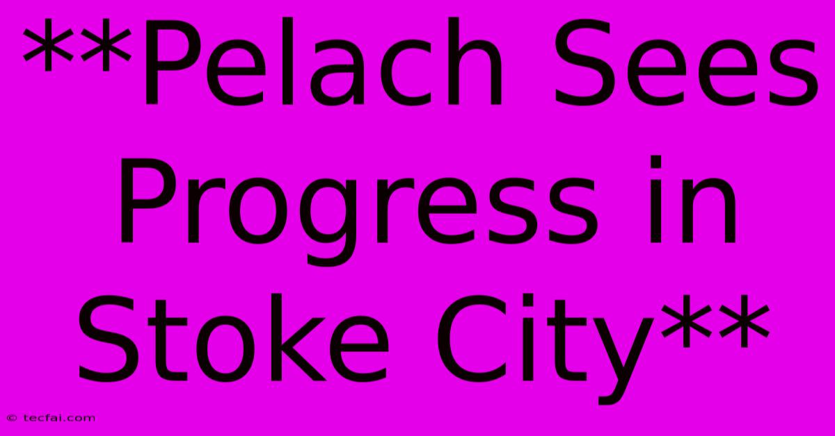 **Pelach Sees Progress In Stoke City**