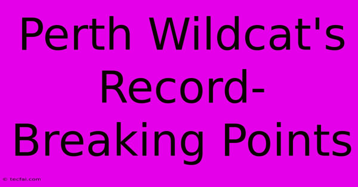 Perth Wildcat's Record-Breaking Points