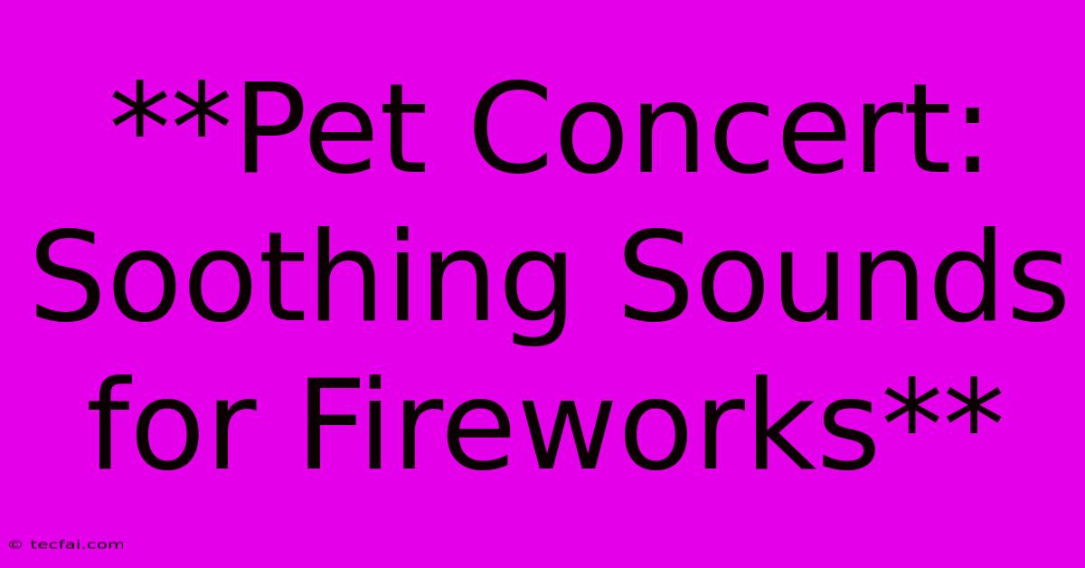 **Pet Concert: Soothing Sounds For Fireworks** 