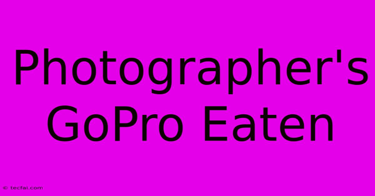 Photographer's GoPro Eaten