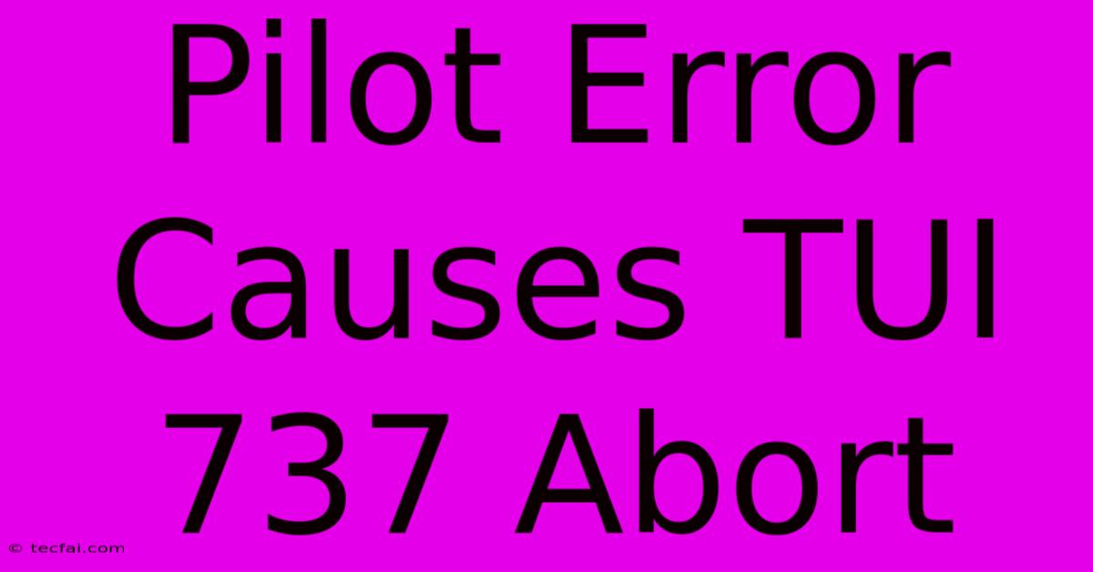 Pilot Error Causes TUI 737 Abort