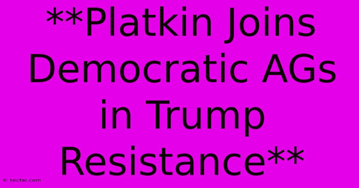 **Platkin Joins Democratic AGs In Trump Resistance**