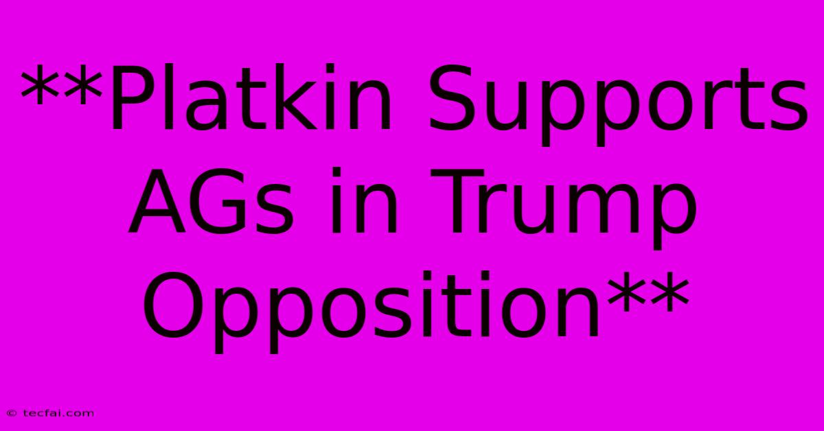 **Platkin Supports AGs In Trump Opposition** 