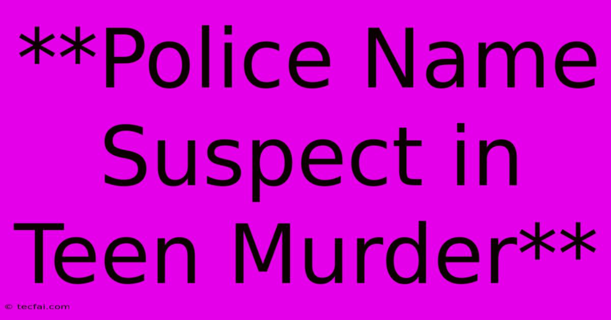 **Police Name Suspect In Teen Murder**