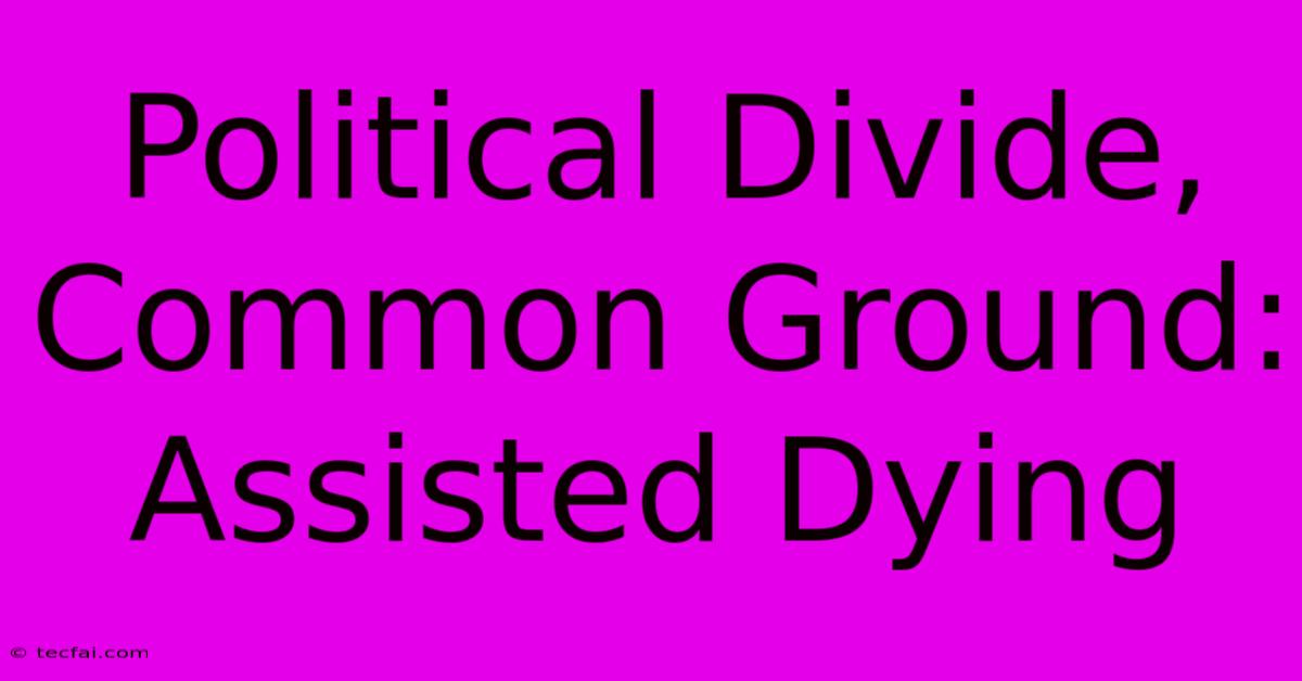 Political Divide, Common Ground: Assisted Dying