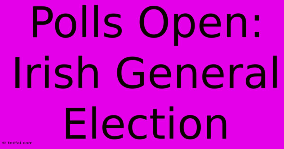 Polls Open: Irish General Election