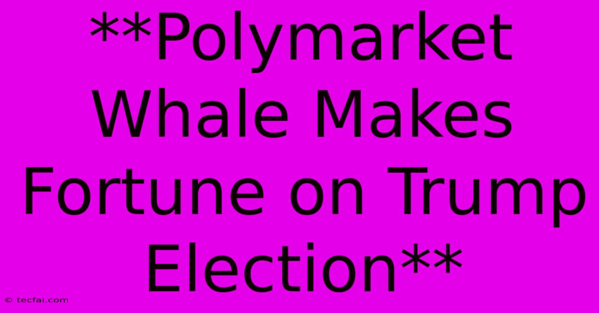 **Polymarket Whale Makes Fortune On Trump Election**