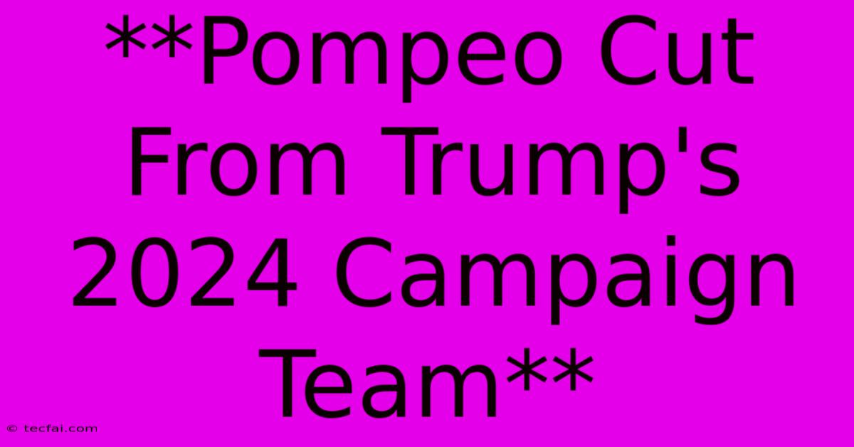 **Pompeo Cut From Trump's 2024 Campaign Team**