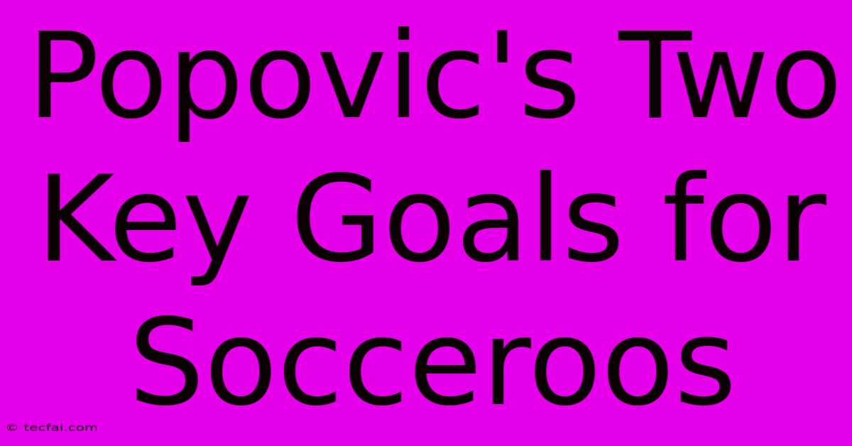 Popovic's Two Key Goals For Socceroos