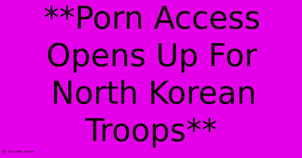 **Porn Access Opens Up For North Korean Troops**