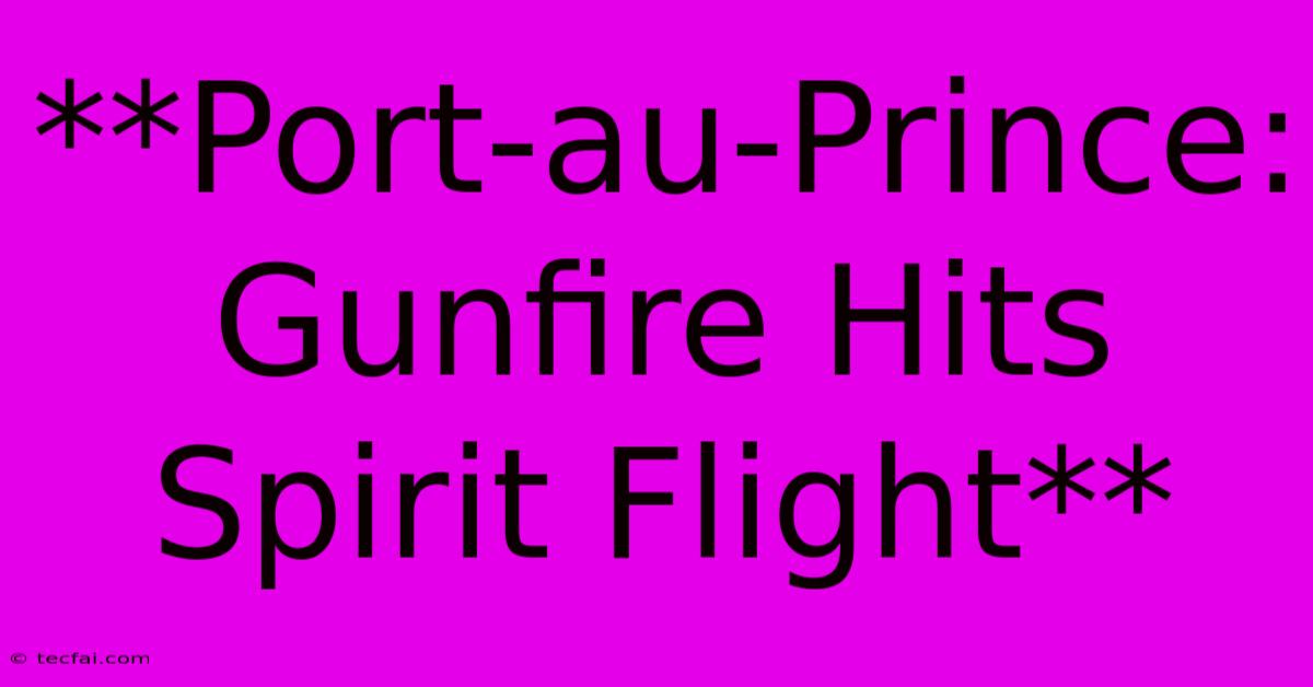 **Port-au-Prince: Gunfire Hits Spirit Flight**