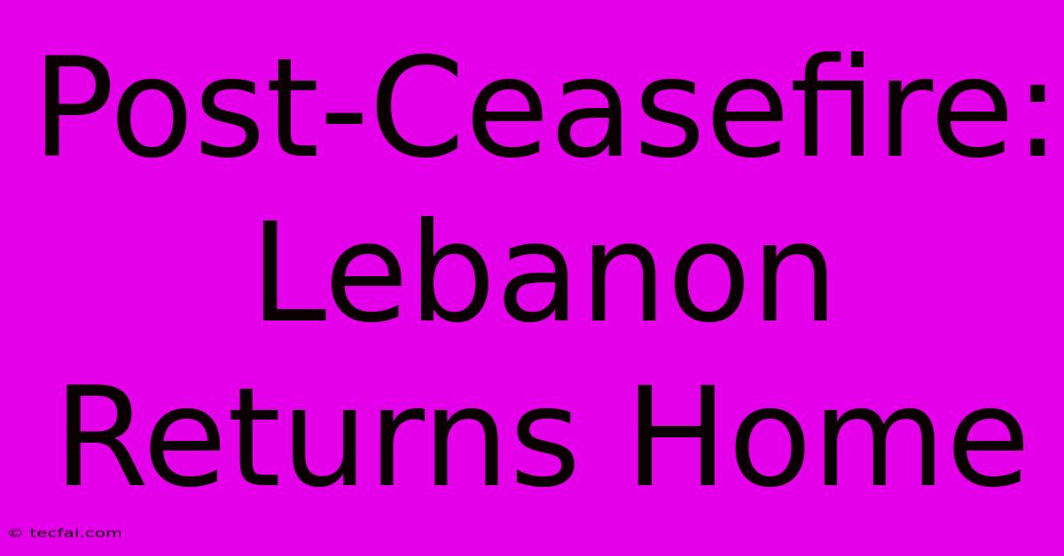 Post-Ceasefire: Lebanon Returns Home