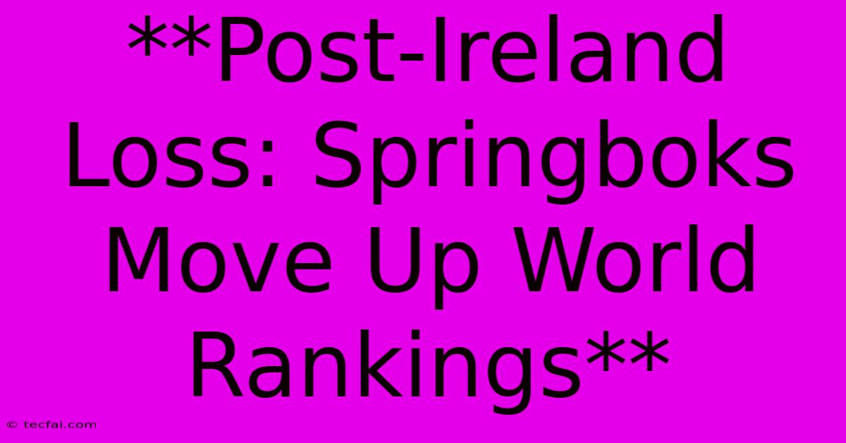 **Post-Ireland Loss: Springboks Move Up World Rankings** 