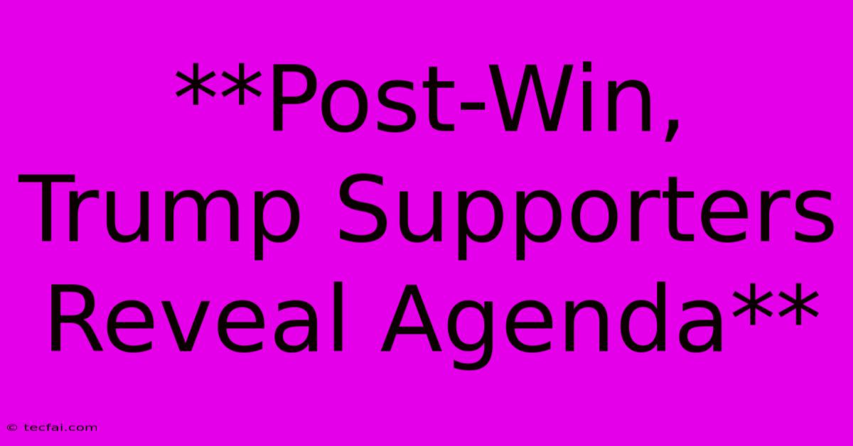 **Post-Win, Trump Supporters Reveal Agenda**