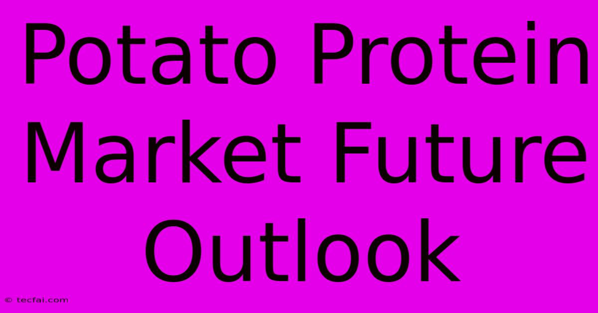 Potato Protein Market Future Outlook