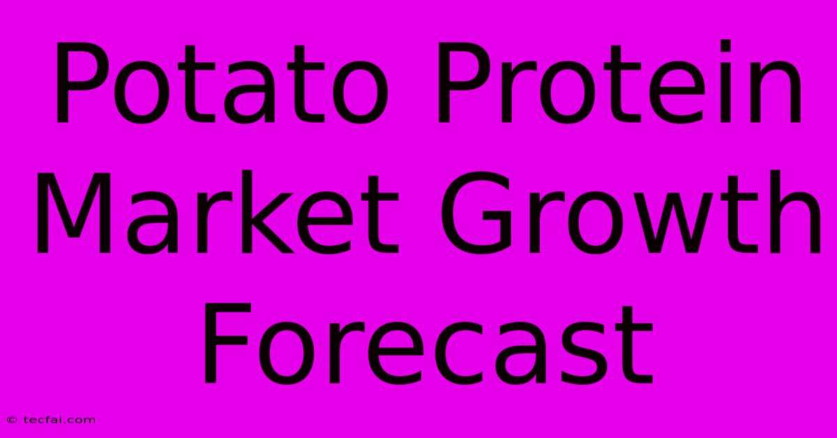 Potato Protein Market Growth Forecast