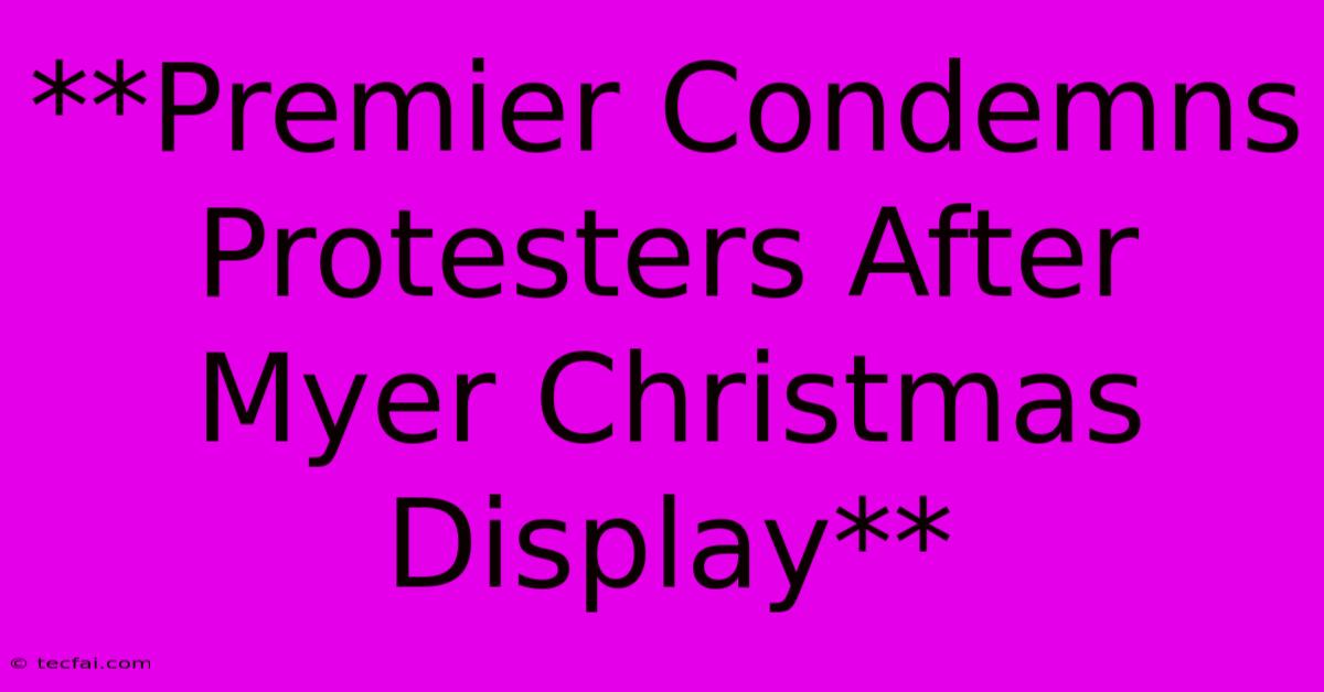 **Premier Condemns Protesters After Myer Christmas Display**