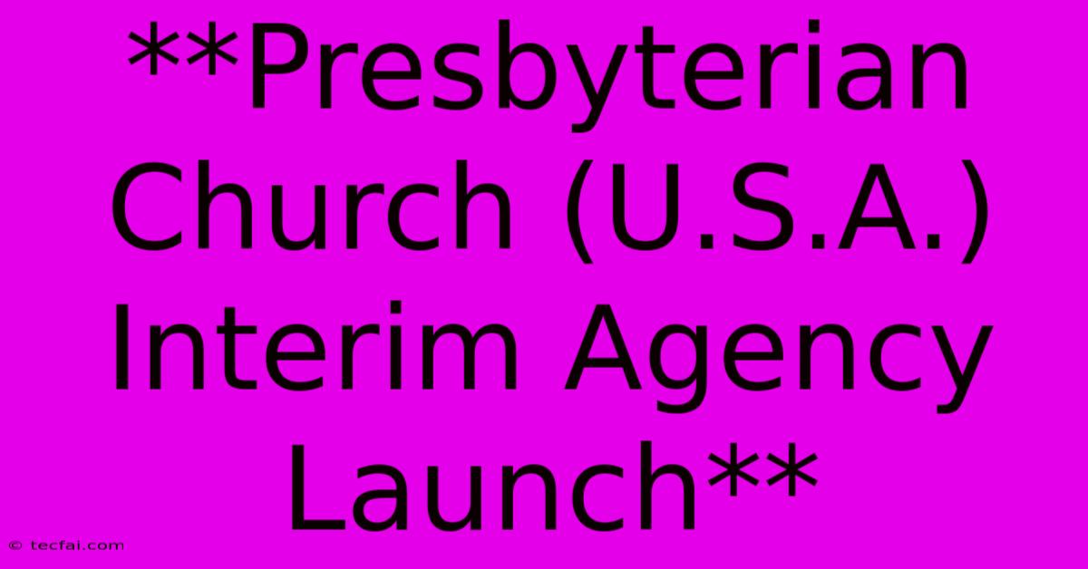 **Presbyterian Church (U.S.A.) Interim Agency Launch**