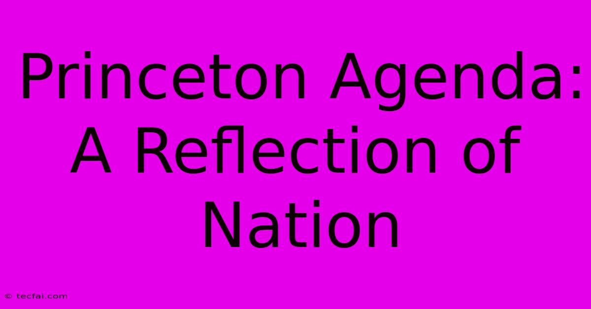 Princeton Agenda: A Reflection Of Nation