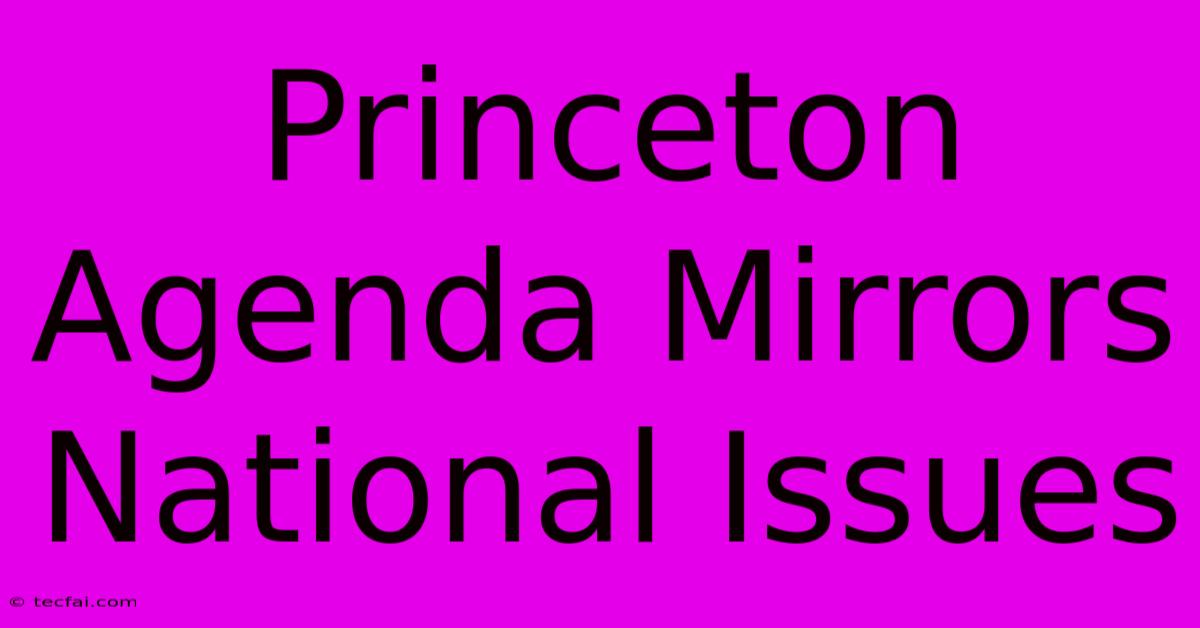 Princeton Agenda Mirrors National Issues