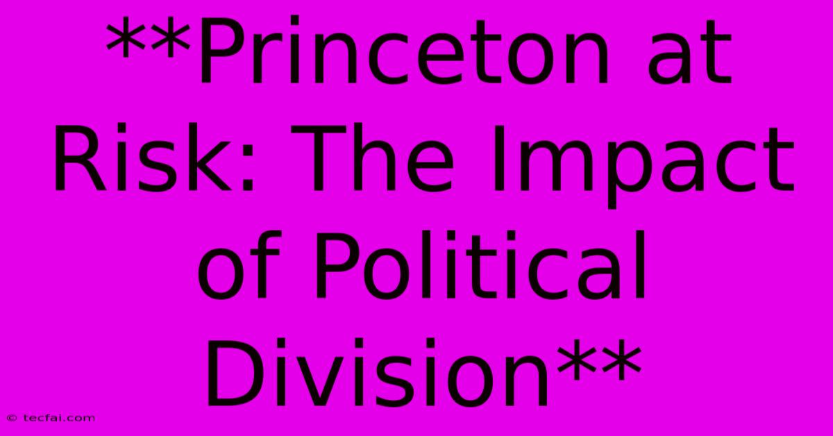 **Princeton At Risk: The Impact Of Political Division**