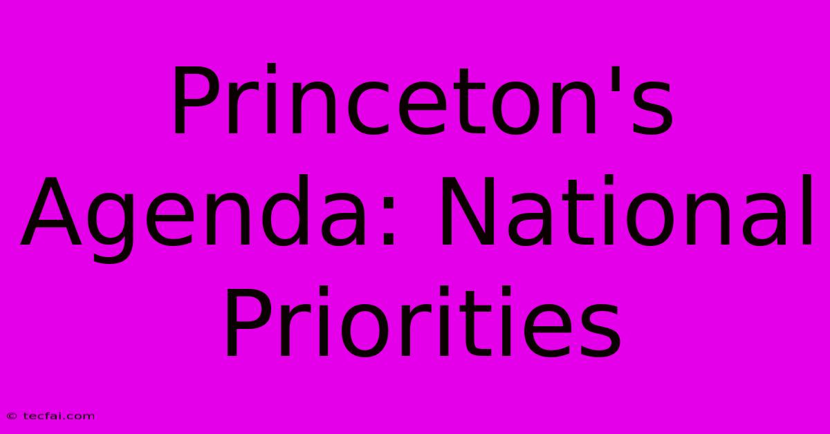 Princeton's Agenda: National Priorities