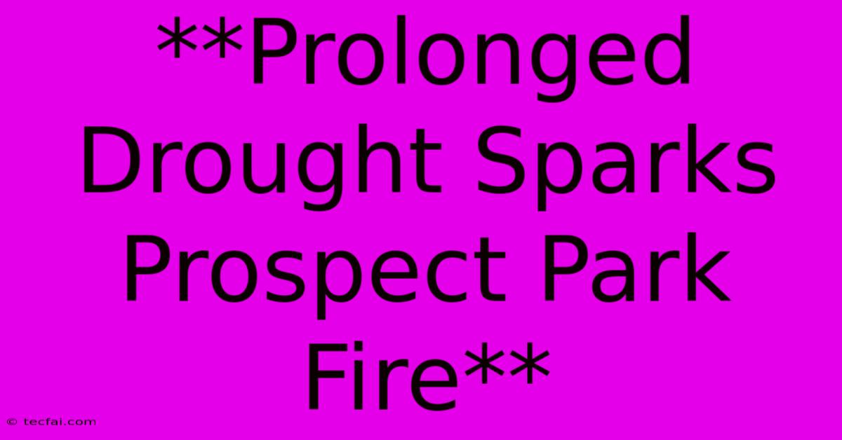 **Prolonged Drought Sparks Prospect Park Fire** 