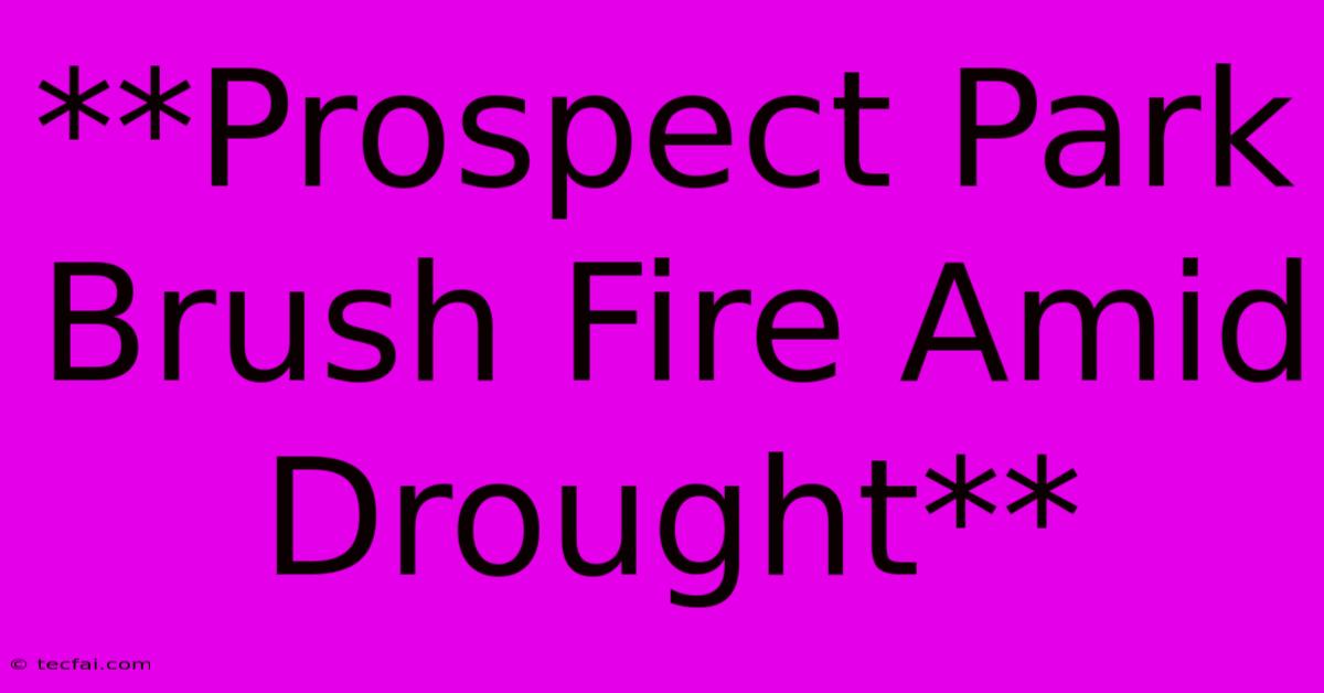 **Prospect Park Brush Fire Amid Drought**