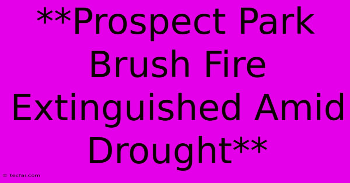 **Prospect Park Brush Fire Extinguished Amid Drought**