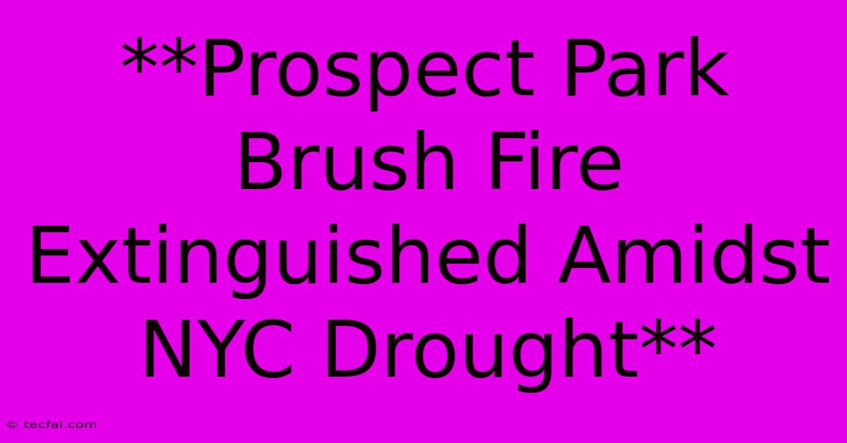 **Prospect Park Brush Fire Extinguished Amidst NYC Drought**