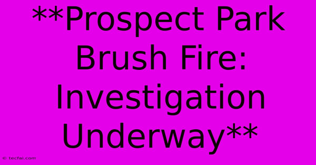 **Prospect Park Brush Fire: Investigation Underway** 