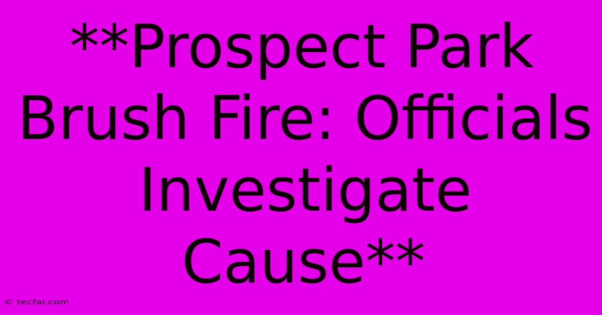 **Prospect Park Brush Fire: Officials Investigate Cause**