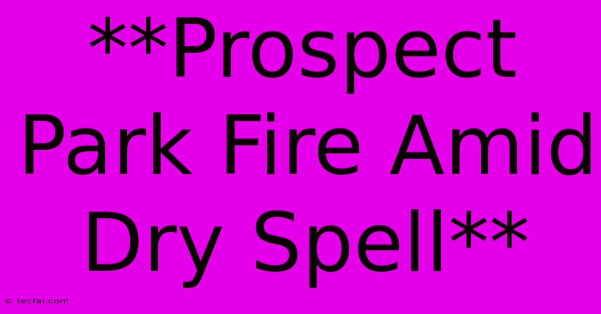 **Prospect Park Fire Amid Dry Spell**