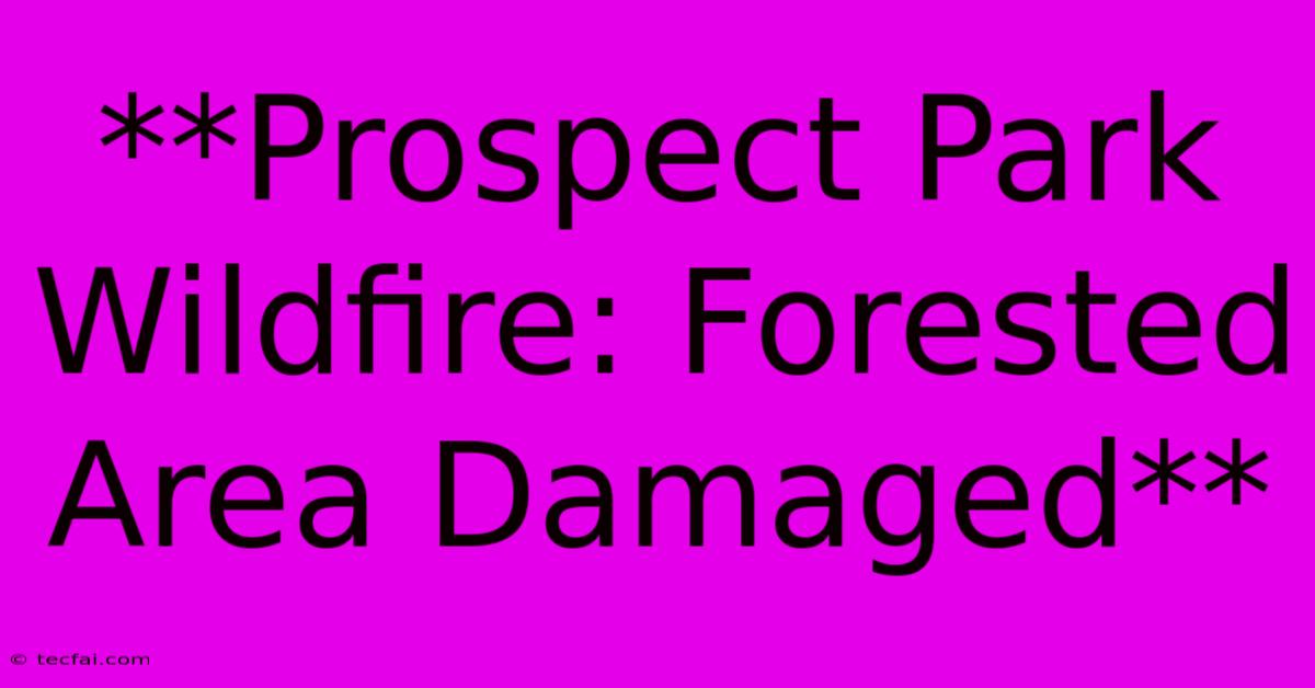 **Prospect Park Wildfire: Forested Area Damaged**