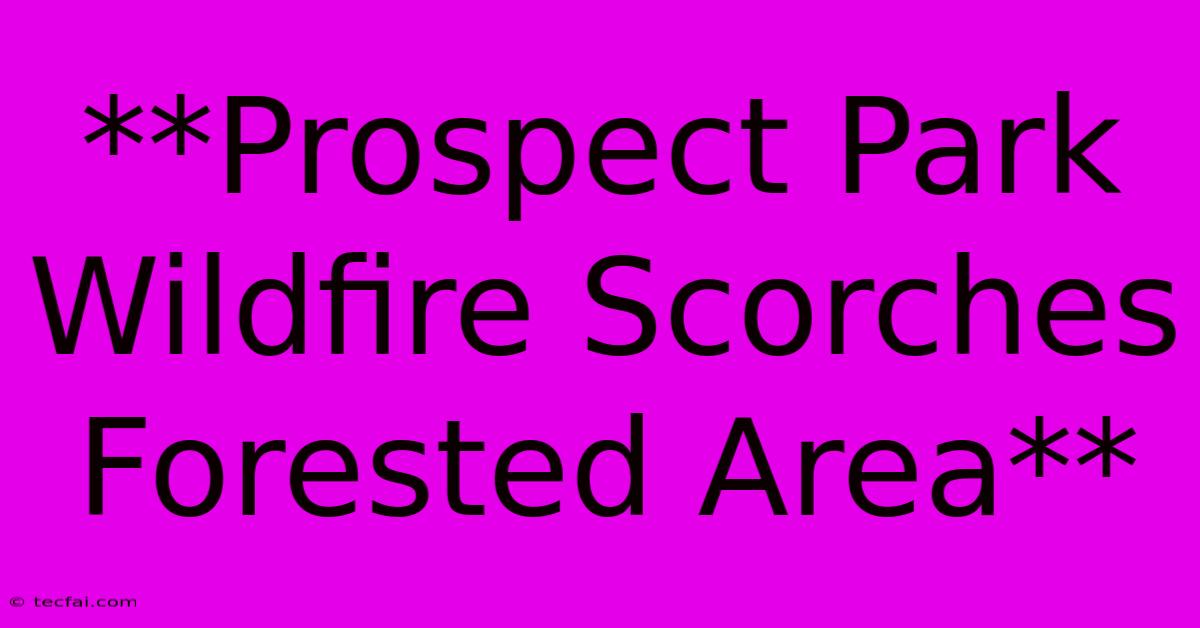 **Prospect Park Wildfire Scorches Forested Area**