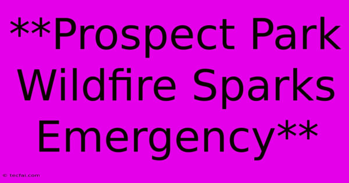 **Prospect Park Wildfire Sparks Emergency**