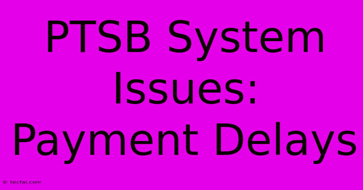 PTSB System Issues: Payment Delays