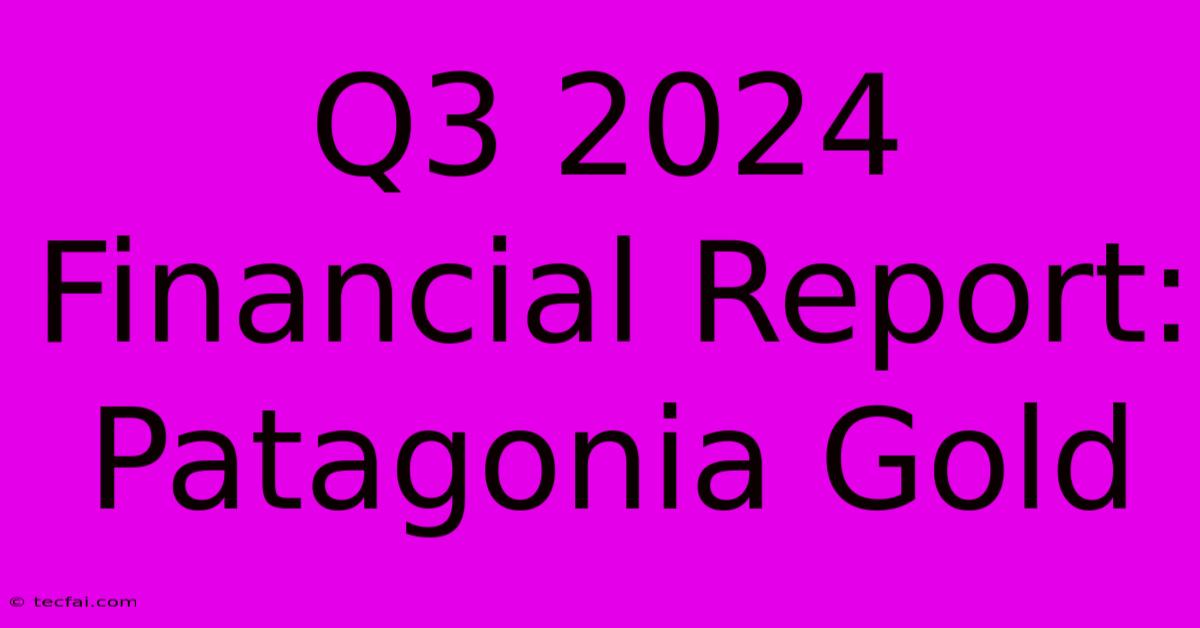 Q3 2024 Financial Report: Patagonia Gold